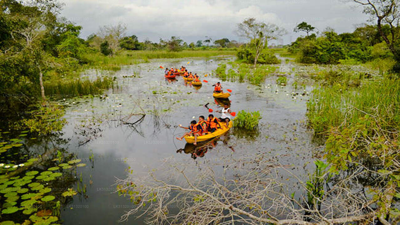 Stay in Habarana