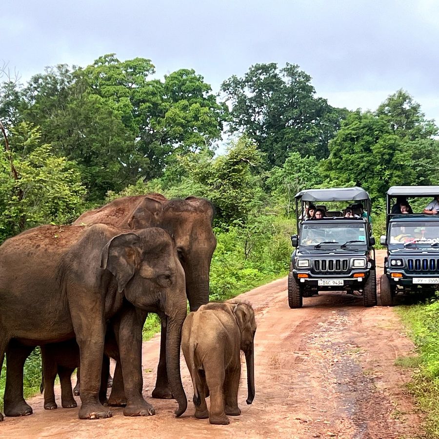 Yala safari starting around 1 PM