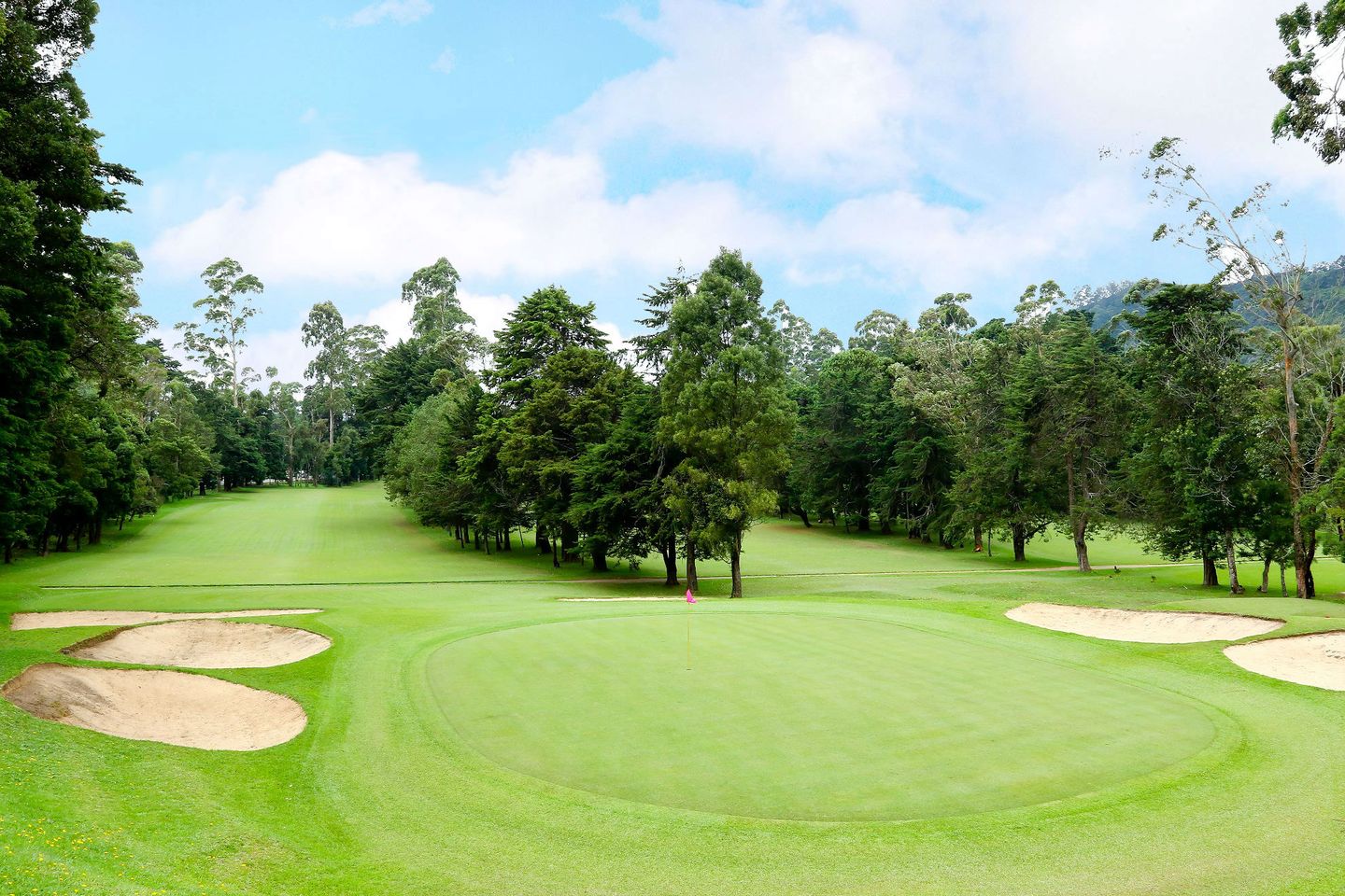 Nuwara Eliya Day Tour
